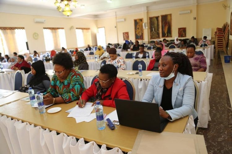 Female MPs Leadership Roles in Mainstreaming Gender Issues During Parliament Sessions